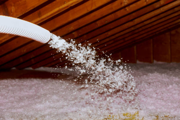 Best Energy Efficiency Solutions in Lexington, MI