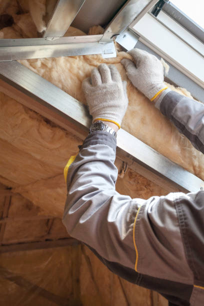 Best Residential Insulation in Lexington, MI