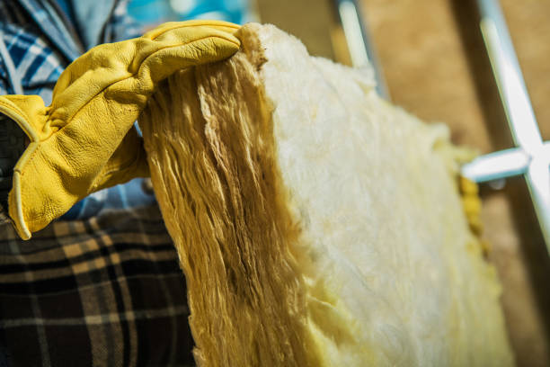 Best Types of Insulation in Lexington, MI